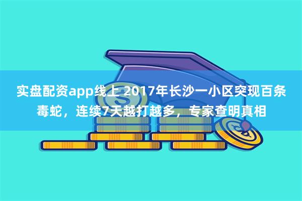 实盘配资app线上 2017年长沙一小区突现百条毒蛇，连续7天越打越多，专家查明真相