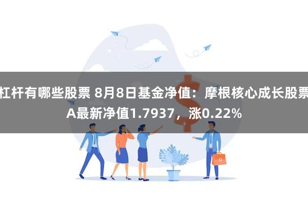 杠杆有哪些股票 8月8日基金净值：摩根核心成长股票A最新净值1.7937，涨0.22%