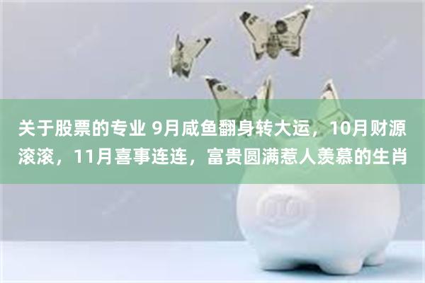 关于股票的专业 9月咸鱼翻身转大运，10月财源滚滚，11月喜事连连，富贵圆满惹人羡慕的生肖