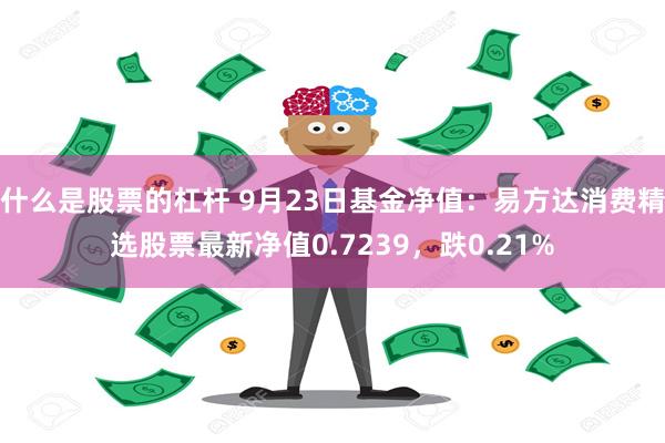 什么是股票的杠杆 9月23日基金净值：易方达消费精选股票最新净值0.7239，跌0.21%