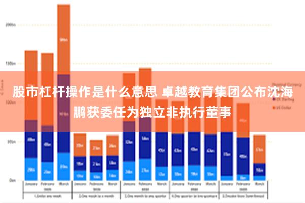 股市杠杆操作是什么意思 卓越教育集团公布沈海鹏获委任为独立非执行董事